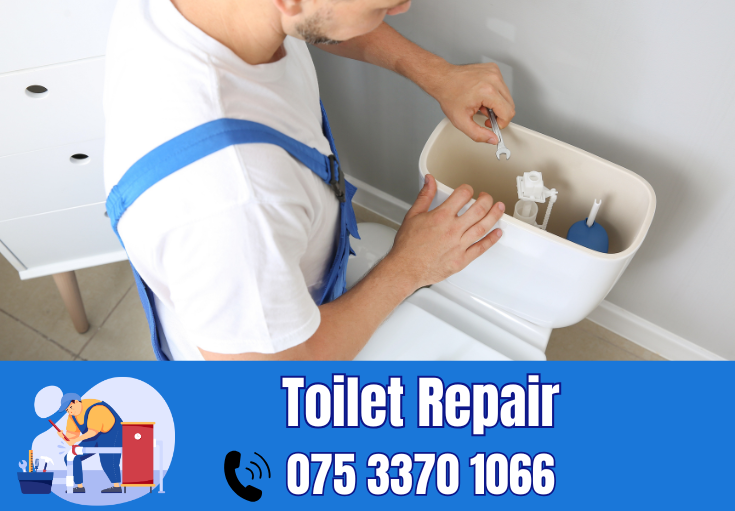 toilet repair Thanet
